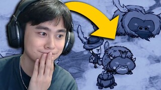 饥 荒 好 主 人 3