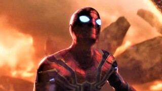 A summary of all the appearances of [Dutch brother] and [Spider-Man] in Avengers 4
