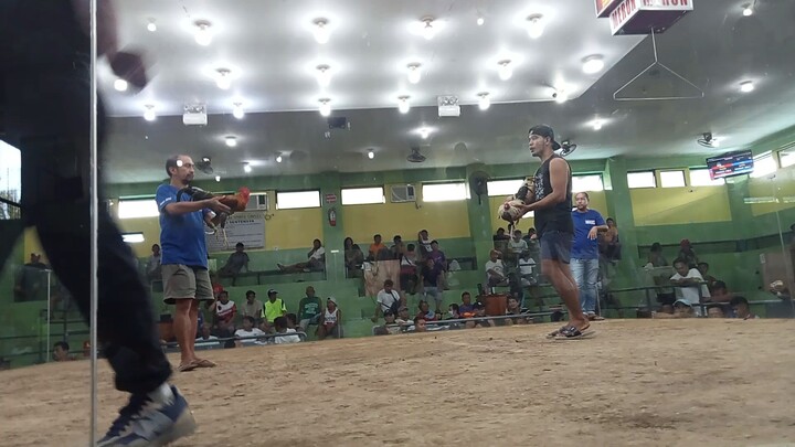 sbsb david and  goliath