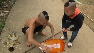 Bọ Xít Rang Mắm - Món Ăn Kinh Dị Của Thời Thơ Ấu - Có Ai Dám Thử Món Này Không Nhỉ ??