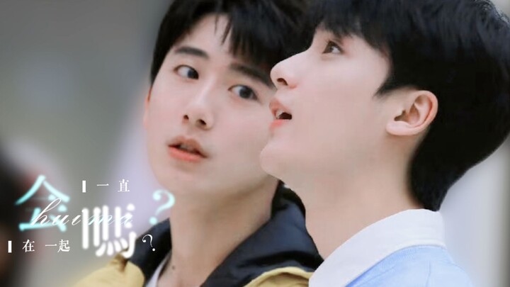 【Góc nhìn Lan Tĩnh Huy】Trái tim biết yêu trước cả lý trí