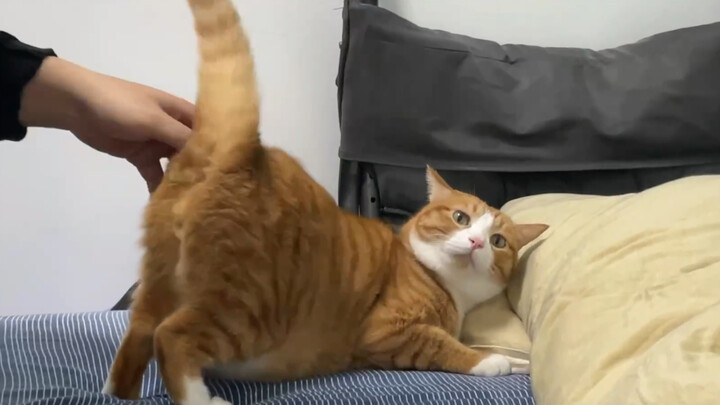 ماذا؟ هناك شيء غير طبيعي فيك!