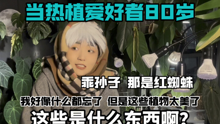 当热植爱好者80岁…谁来帮我浇水啊！！我好像什么都忘了…但是这些植物太美了吧…