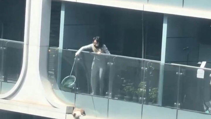If you keep a cat without securing the windows, you’ll regret it sooner or later.