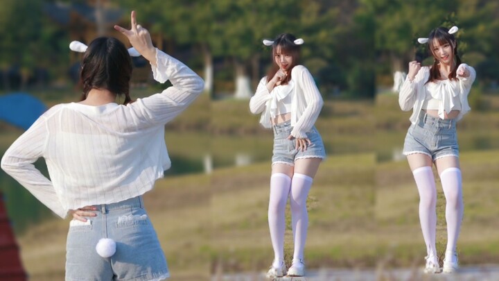 谁不喜欢小兔兔呢？bunny