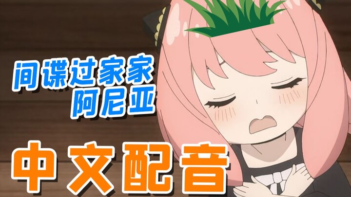 Ah~ Orphaned Anya is like a blade of grass~ [Chinese dub]