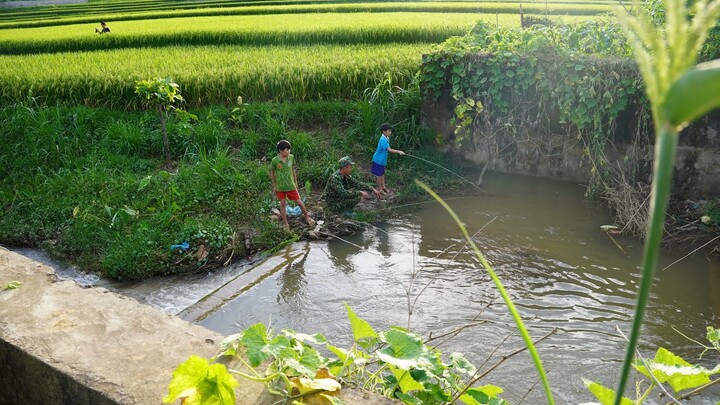 Câu Cá Suối Dưới Hoàng Hôn Tiên Cảnh Tây Bắc