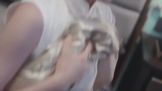 สะดุดรักภรรยาตาบอด