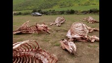 Tremors: The Series