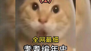 【补档】全网最细！《耄耋编年史》第一集