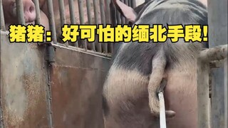 จูจู: วิธีการของพม่าตอนเหนือน่ากลัวจริงๆ!