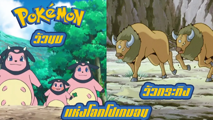 Pokemon Profile Miltank Kentauros โปเกมอนผู้เปรียบเสมือนเป็น วัวนม และ วัวกระทิง ของโลกโปเกมอน
