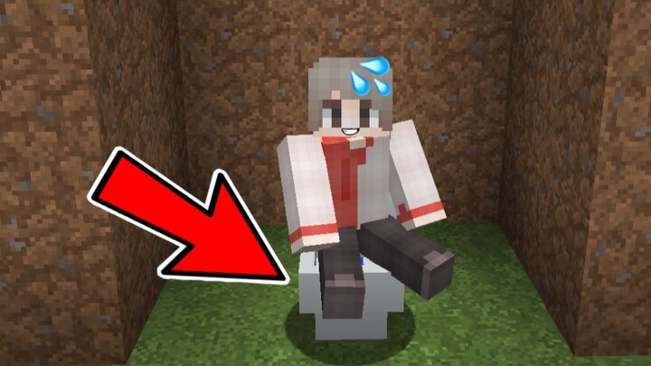 Minecraft: What If You Had to Go to the Bathroom to Survive?