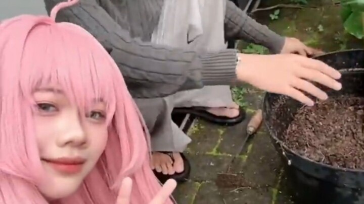COSPLAY anime menanam pohon