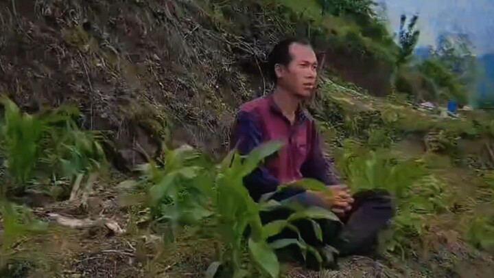 【Kiên trì】Dưới gốc bồ đề, niềm tin dâng trào, hôm nay mới hiểu rằng ta chính là ta.