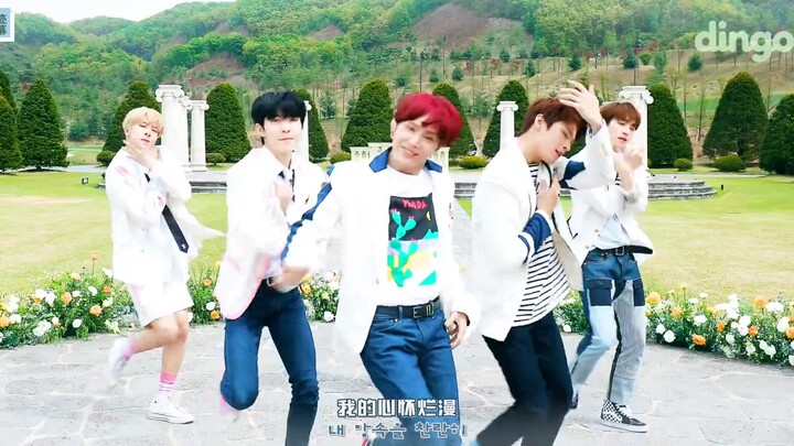 【THE BOYZ】 Bloom Bloom dingo live 中韩字幕 @神迹出品