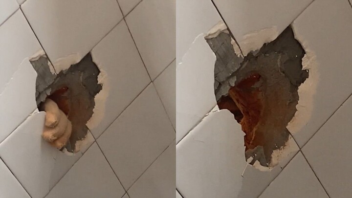 Suara bor listrik dari renovasi rumah sebelah terlalu bising, wanita itu khawatir dinding akan sampa