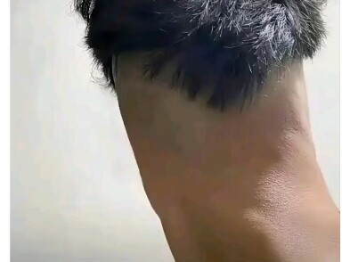 Lần đầu tiên tôi dùng từ “gốc” để miêu tả đầu.