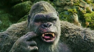 King Kong was about to add chicken drumsticks to his meal, but when the food touched his teeth, he c