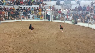 boss Lutero igay cockpit first fight win