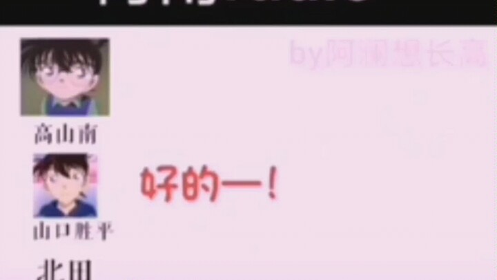 新一和柯南一起骂笨蛋［5遍超爽］！