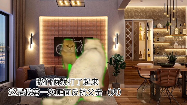 [Meme Kucing] Untuk melindungi adikku, aku memukuli ayahku yang pemurung.