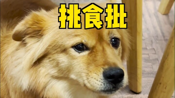 Bạn bè đi ngang đừng ăn nữa, lát nữa hết gạo nấu cơm đó!