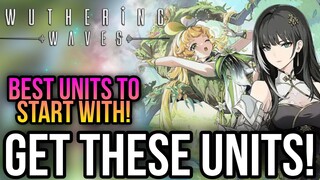Wuthering Waves -  Best Units For Faster Progression! *Get These Unit*