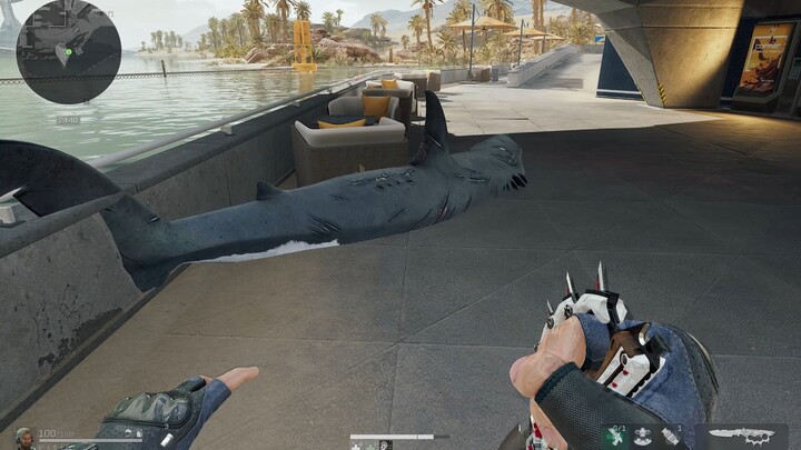 In case you didn’t know, sharks can actually come ashore!