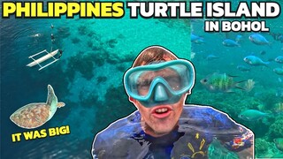 TURTLE ISLAND EXPERIENCE  - Filipino Family Travel In Bohol (Philippines Vlog)
