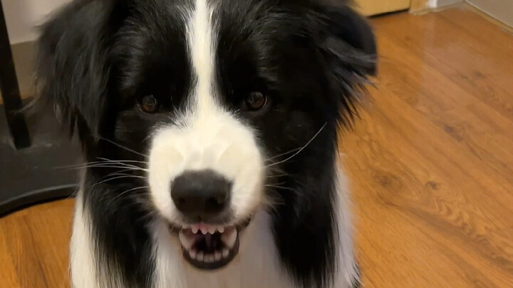 Losing Your Temper Slightly