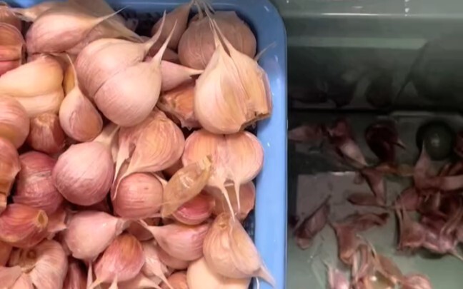 Unzip the video and peel the garlic; sisters, I can't add novels randomly because I'm afraid of infr