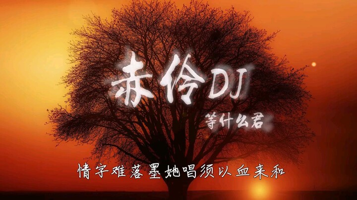 赤伶 DJ余小磊版 等什么君 Chi Ling Xích Linh Remix【抖音流行歌】【无损音质】