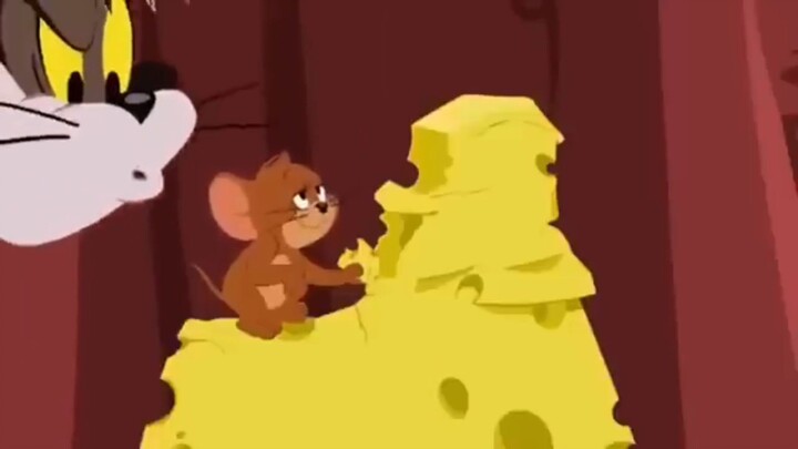 kartun anak Tom and Jerry bahasa indonesia pt 5