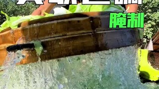 The Beauty of Autumn: A Pig's Happy Feast