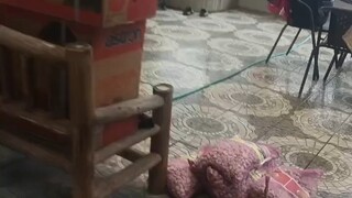 如果你吃一塹還不長一智的話，那麼讓你失望的人，又怎麼可能只讓你失望一次？有的人是不會愧疚的，畢竟滿口的謊言，不需要成本！