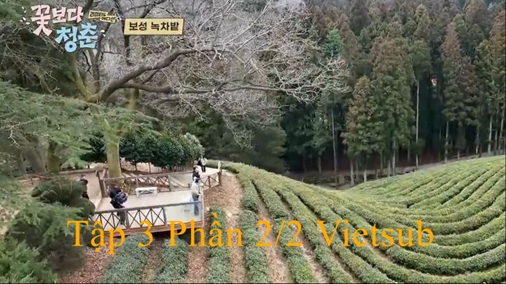 Chuyến Đi Bất Ngờ: Bản Giới Hạn Tập 3 Phần 2/2 Vietsub