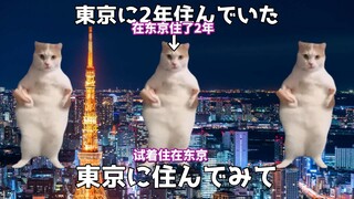[Cooked Meat] Trying to Live in Tokyo for Two Years | Cat Meme