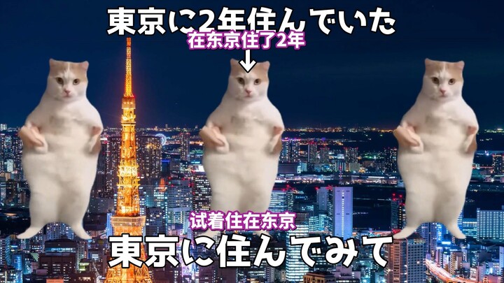 [Cooked Meat] Trying to Live in Tokyo for Two Years | Cat Meme