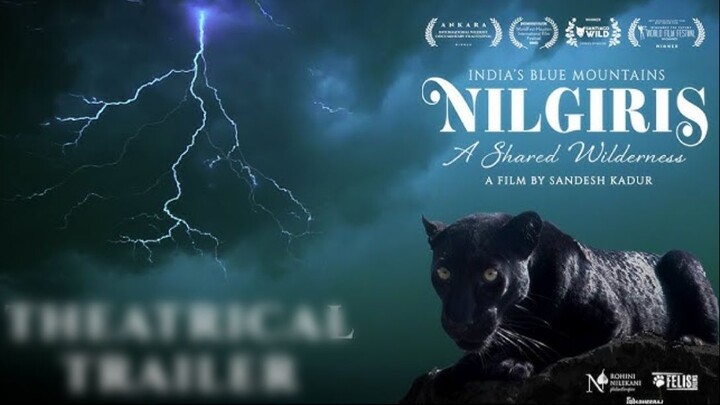 Nilgiris.A.Shared.Wilderness.2026.Dual    .Hindi  .720p
