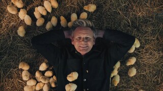 戈登拉姆齐佛了