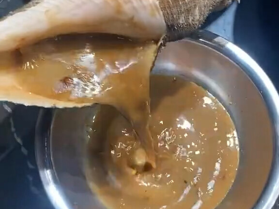 Chaozhou Cuisine on the Tip of Your Tongue: Charcoal-Grilled Surf Clam