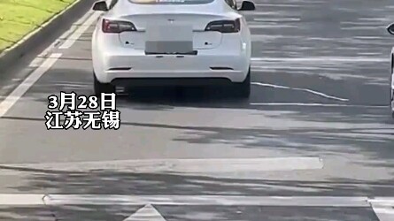 Man tries and fails to get his family on the bus, then maliciously forces the public bus to a stop o