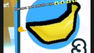 Banana pet?