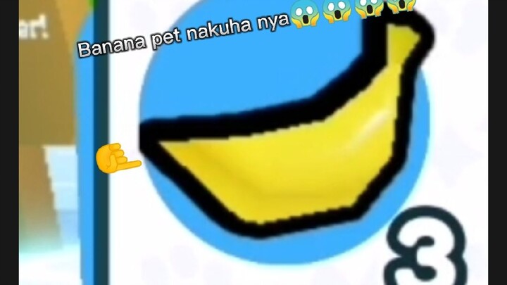 Banana pet?