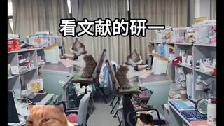 盲审通过研三现状