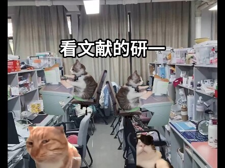 盲审通过研三现状