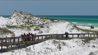 Teenage girl, woman severely injured as 3 hurt in shark attacks at popular Florida panhandle beach