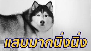 หมาแสบปิดกล้องวงจรเองต้องดู