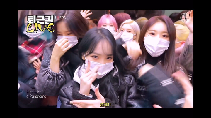 [IZONE]看完IZONE的下班路，谁再说韩团没有整活我跟他急（愤怒）！